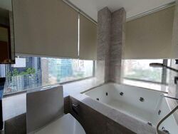 Angullia Park Residences @ Orchard (D10), Apartment #503888721
